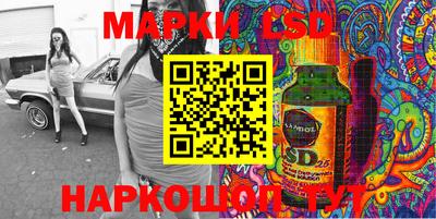 СК Новозыбков