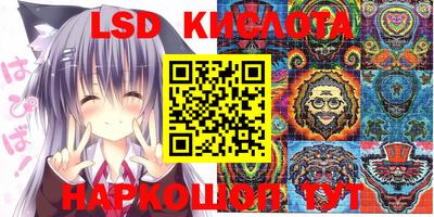 мдпв Новодвинск