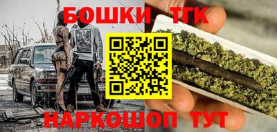 мдпв Новодвинск
