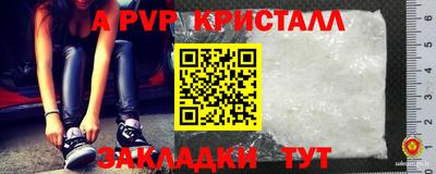 СК Новозыбков