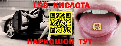СК Новозыбков