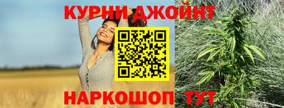 СК Новозыбков