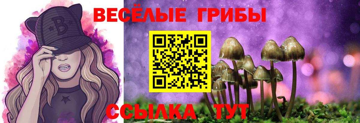 Псилоцибиновые грибы MAGIC MUSHROOMS  Вход с VPN  Славгород 